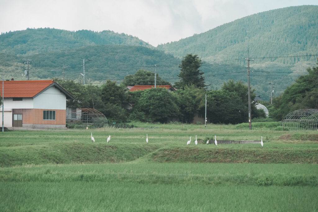 八幡高原