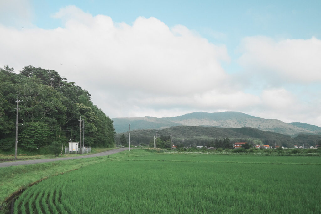 八幡高原